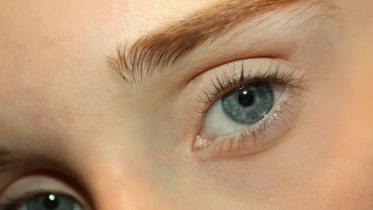 Eine extreme Nahaufnahme der Augen einer Frau mit natürlich gelifteten Wimpern